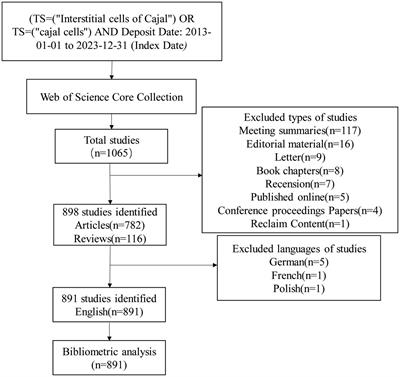 A bibliometric analysis of interstitial cells of Cajal research